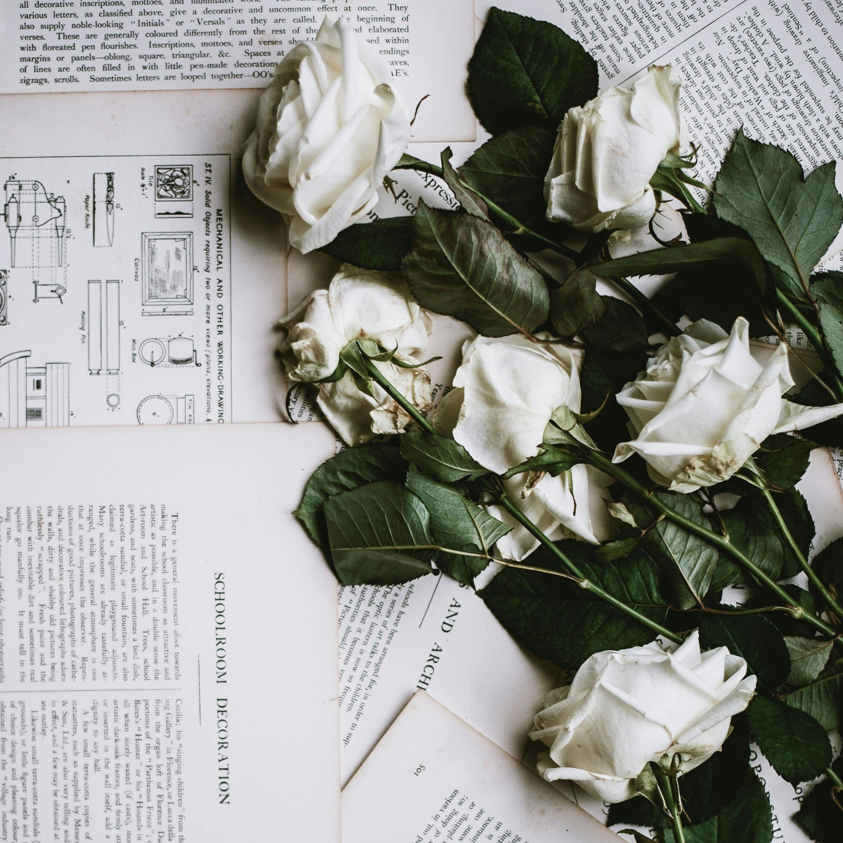 maimy / mymfyのプロフィール写真